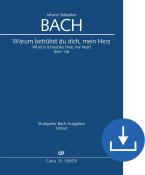 Perché ti affliggi, cuore mio BWV 138 Download