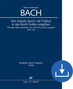 Dobbiamo passare attraverso molte tribolazioni BWV 146 Download