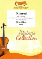 Nimrod Standard