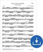 Gloria a Dio nell'alto BWV 197a, BWV3 197.1 Download