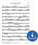 Gloria a Dio nell'alto BWV 197a, BWV3 197.1 Download