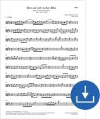 Gloria a Dio nell'alto BWV 197a, BWV3 197.1 Download