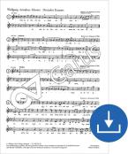 13 Kanons Download