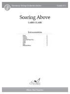 Soaring Above 