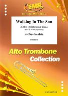 Walking In The Sun Download