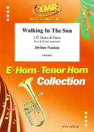 Walking In The Sun Download