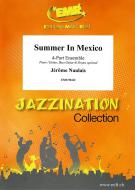 Summer In Mexico Download