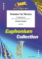 Summer In Mexico Download