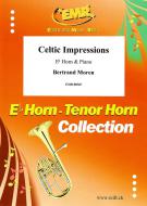 Celtic Impressions Download