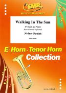 Walking In The Sun Download