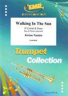 Walking In The Sun Download