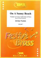 On A Sunny Beach Download