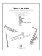 Wade In The Water 