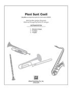 Pleni Sunt Coeli Download