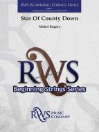Star Of County Down Standard