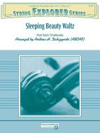 Sleeping Beauty Waltz 