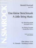 A Little String Music Op. 95B 