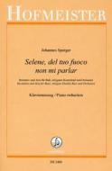 Selene, del tuo fuoco non mi parlar 