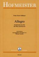 Allegro - Sonatensatz Es-Dur 