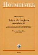 Selene, del tuo fuoco non mi parlar 