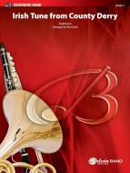 Irish Tune From County Derry Download