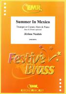 Summer In Mexico Download