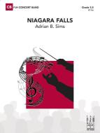 Niagara Falls 