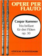 Trio brillant, Op. 30 