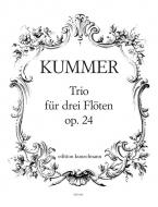 Trio, Op. 24 