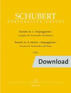 Sonata in la minore D 821 'Arpeggione' Download