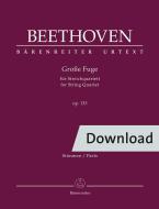 Grande Fuga per Quartetto d'Archi op. 133 Download
