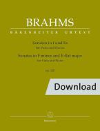 Sonate in fa minore e mi bemolle maggiore op. 120 Download