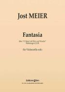 Fantasia su "O Haupt voll Blut und Wunden" - Omaggio a J.S.B. Download