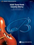 Irish Tune from County Derry Standard