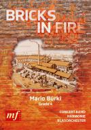 Bricks in fire 