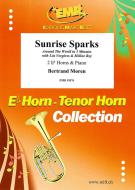 Sunrise Sparks Standard