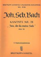 Jesu, der du meine Seele 