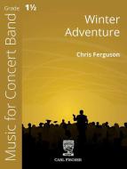 Winter Adventure 