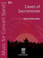 Caves of Sacromonte 