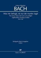 The merry chase, the hunt is my delight BWV 208, BWV3 208.1 
