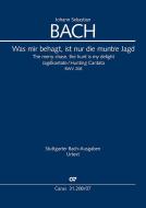 The merry chase, the hunt is my delight BWV 208, BWV3 208.1 