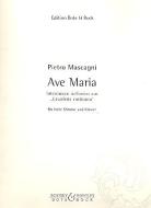 Ave Maria Standard