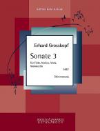 Sonata 3 