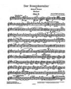 The Knight of the Rose Op. 59 