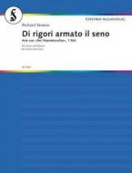 Di rigori armato il seno Standard