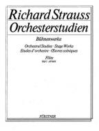 Orchestral Studies from his Stage Works: Flute Vol. 1 
