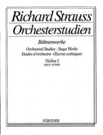 Orchestra Studies: Violin 1 Vol. 2 
