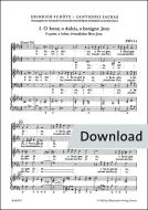 3 mottetti SWV 53-55 Download