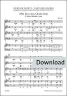 2 mottetti SWV 69/70 Download
