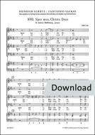 2 mottetti SWV 69/70 Download